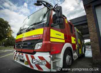 Crews from four stations called to undergrowth on fire