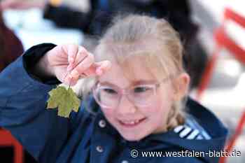 Schulklasse aus Beverungen erlebt Unterricht am Wall der Landesgartenschau Höxter