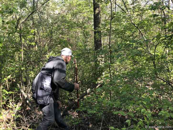 Mushroom hunting season in NE Indiana has arrived. What to know when going out