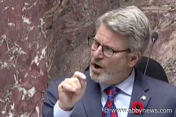 Abbotsford South MLA lashes out at NDP over crime, small business