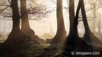 Why Most Landscape Photographers Should Use Zoom Lenses