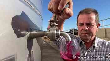 Riverland families selling off land and diversifying after generations of growing wine grapes