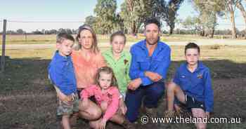 No to the solar farm proposal in the King Valley