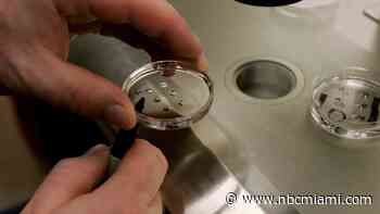 Infertility Is a Marathon, Not a Sprint, Doctor Says on Awareness Week