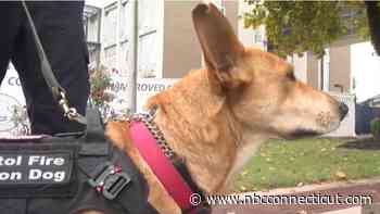 Bristol Fire Department Announces Retirement of Support K9