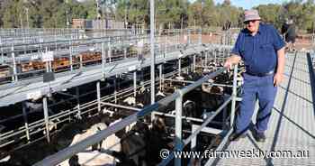 Monthly store sale attracts quality cattle