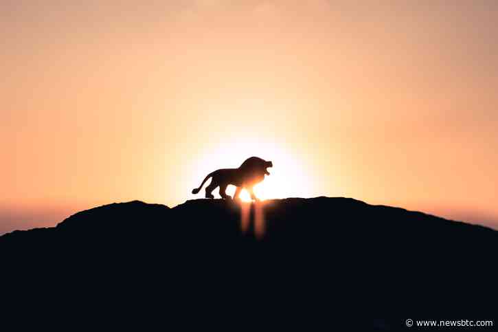 XRP Dominates The Market: ADV On Centralized Exchanges Surged by 46% In Q1 2023, Report