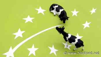 Juristin über Green Claims: "Werben mit Umweltaussagen wird erheblich teurer"