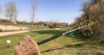28 trees provide framework for outdoor museum trail in Hawthorn Woods