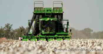 Cracking cotton picking season underway