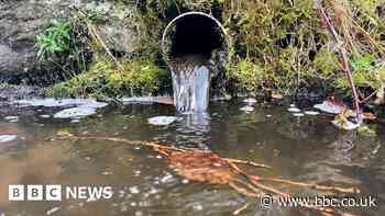 South West Water fined more than £2.1m over sewage pollution