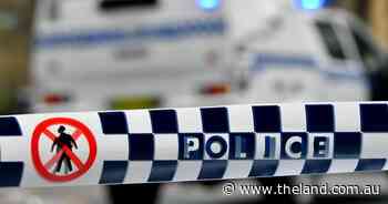 Police search for 200 merino ewes and wethers stolen from Bookham