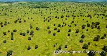 In demand cattle property tops $3000/acre