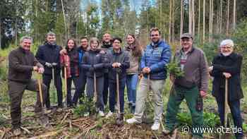 Junge Union Saale-Holzland und Jena würdigt den jährlichen Tag des Baumes mit Pflanzaktionen