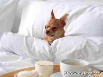 9 Tips for Choosing Your Ideal Customer Advisory Board Hotel