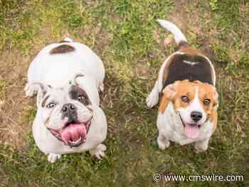 Tips for Measuring a Customer Loyalty Program That Delights and Delivers