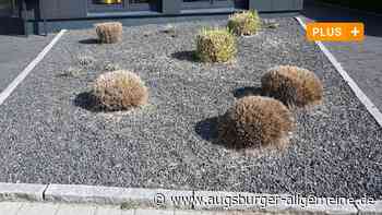 Warum das Steingartenverbot in Augsburg wohl wenig bringt