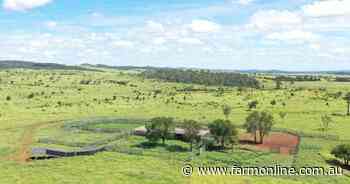 Post-auction negotiations continue on Melaleuca