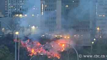 Firefighters battle blaze in river valley near downtown Edmonton