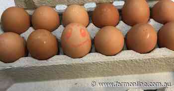 Agribusiness buzz in brief: Rex, Pace Farms and Feed Central news