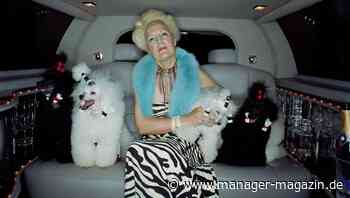 Geldanlage: Hundebesitzer sind risikofreudiger als Katzenfreunde