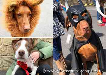 Blackburn pub to stage ‘royal dog show’ to celebrate King’s Coronation