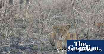 2023 Whitley awards for conservation – the winners in pictures