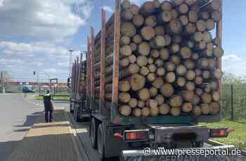 LPI-SLF: Holztransporte rücken in den Fokus