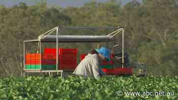 Ag sector worried about migration changes
