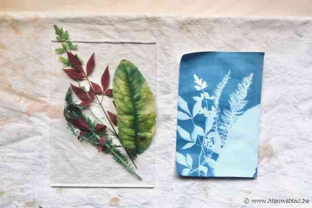 Nieuwe editie van expo Kunstgrillen in Wilrijk: “Laat dat gekke idee hier groeien”