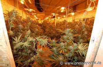 POL-PDPS: "Cannabis-Fabrik" in Schindhard ausgehoben