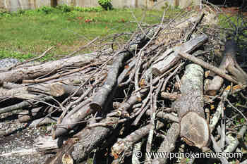 Ponoka’s annual back alley compostable yard waste pickup begins May 23