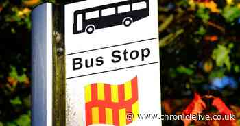 Bus ticket prices in Northumberland could be slashed to just £1 for young passengers