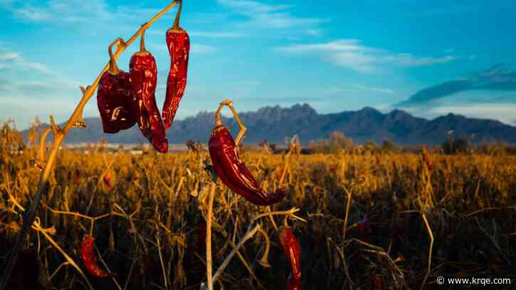 What’s happening around New Mexico April 28 – May 4