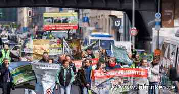 Bauernverband fordert Abschuss von «Problemwölfen»