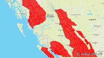 Weekend warmup prompts special avalanche warning for western Canada