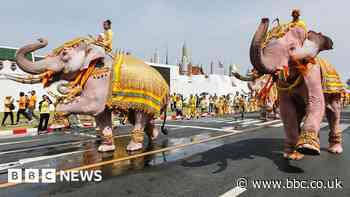 Lion hides, sacred seats and coronation rites from around the world