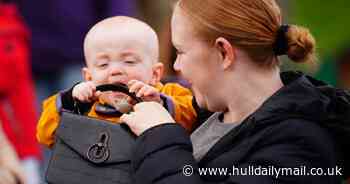 Little boy grabs Princess of Wales' handbag as she greets crowds