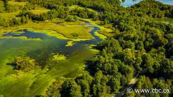 From freak weather to our water supply to optimism and action. Here are answers to your climate questions