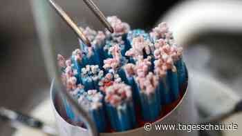 Hunderte Kinder gezeugt: Niederländisches Gericht stoppt Samenspender