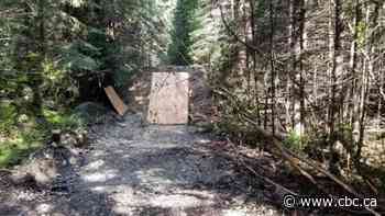 Man ordered to pay $21,600 after building illegal bike jump in Yoho National Park