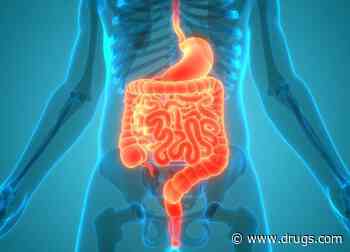 Gut Microbiome Changes Throughout the Day and With the Seasons