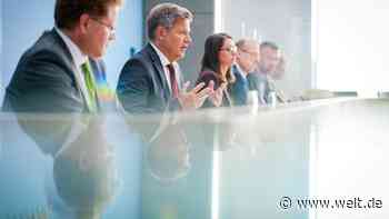 „Dann ist das Maß überschritten“ – FDP-Politiker distanzieren sich von Graichen