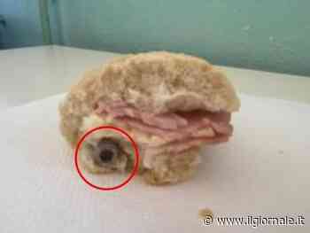 Solo 750 euro di multa per il panino con il bullone a scuola. Scoppia la polemica