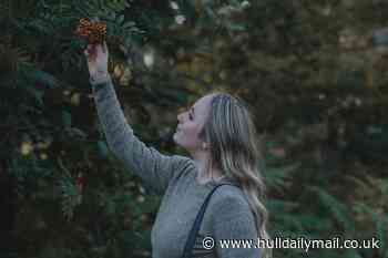 Forager makes her own beauty products and gins using woodland ingredients