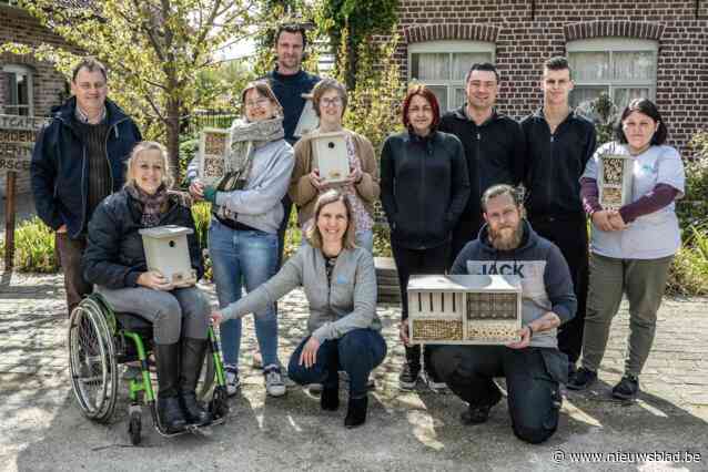 Mariasteen verkoopt nestkastjes tijdens bloemenmarkt: “Gemaakt door medewerkers die we helpen bij zoektocht naar werk”