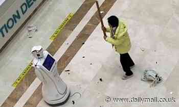 Watch the moment a woman smashes up a robot receptionist with a plank of wood