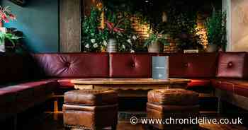 DJ glassed party-goer in Jesmond bar after he closed laptop during St Patrick's Day celebrations