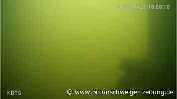 Zie je een vis? Druk op de bel!