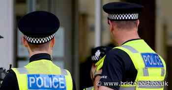 Man in Bristol arrested over badger baiting and animal cruelty